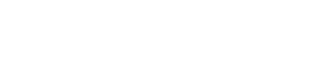 POLYGON LOGO